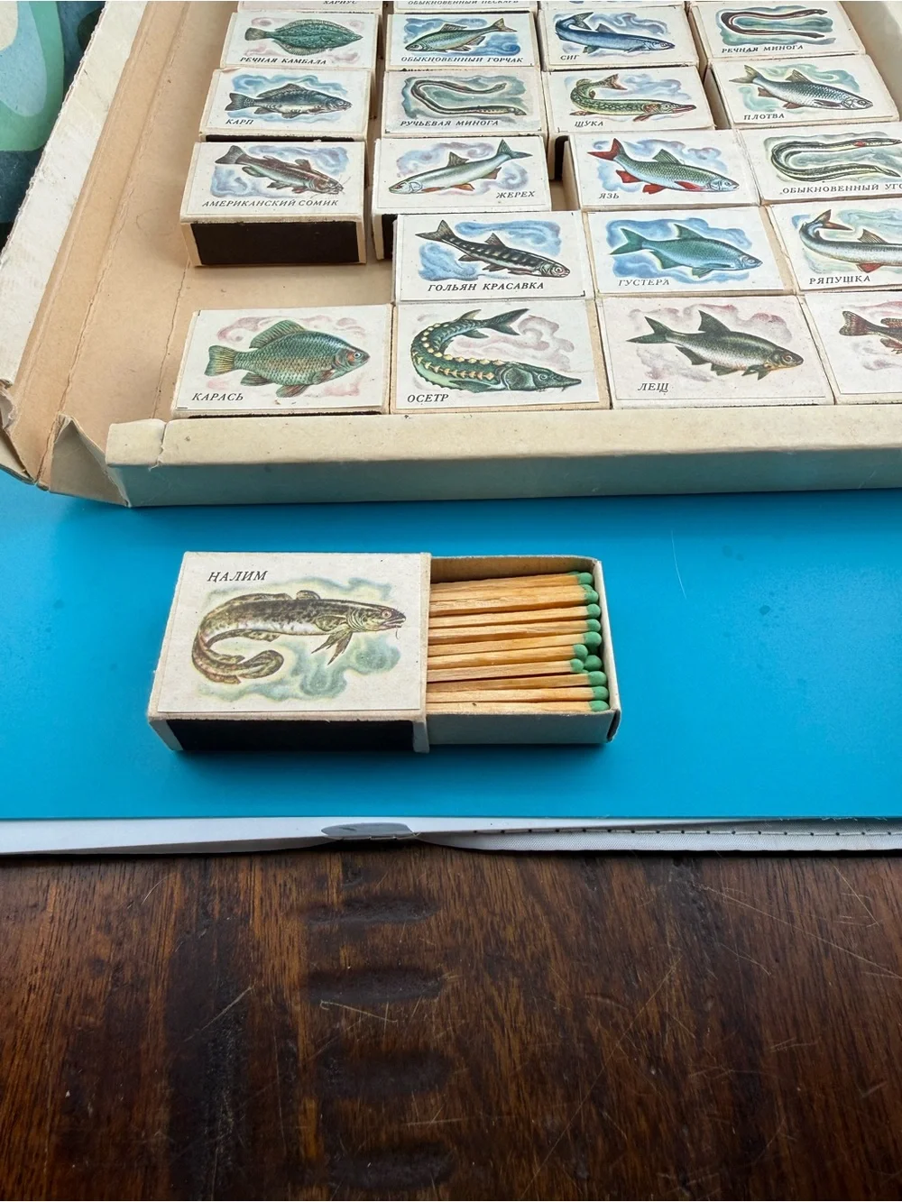 Vintage 1983 USSR Soviet Fish 28 Matchbox Collector Set